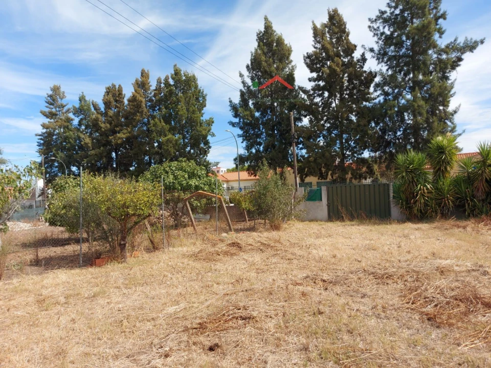 Terreno para Venda em Ferreira do Alentejo e Canhestros Foto 10