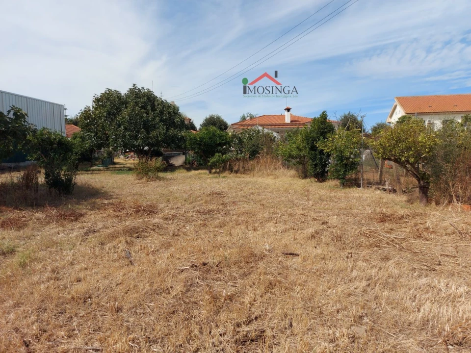 Terreno para Venda em Ferreira do Alentejo e Canhestros Foto 11