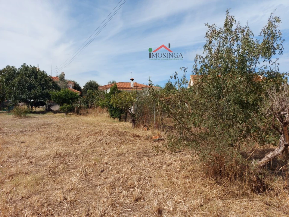 Terreno para Venda em Ferreira do Alentejo e Canhestros Foto 12