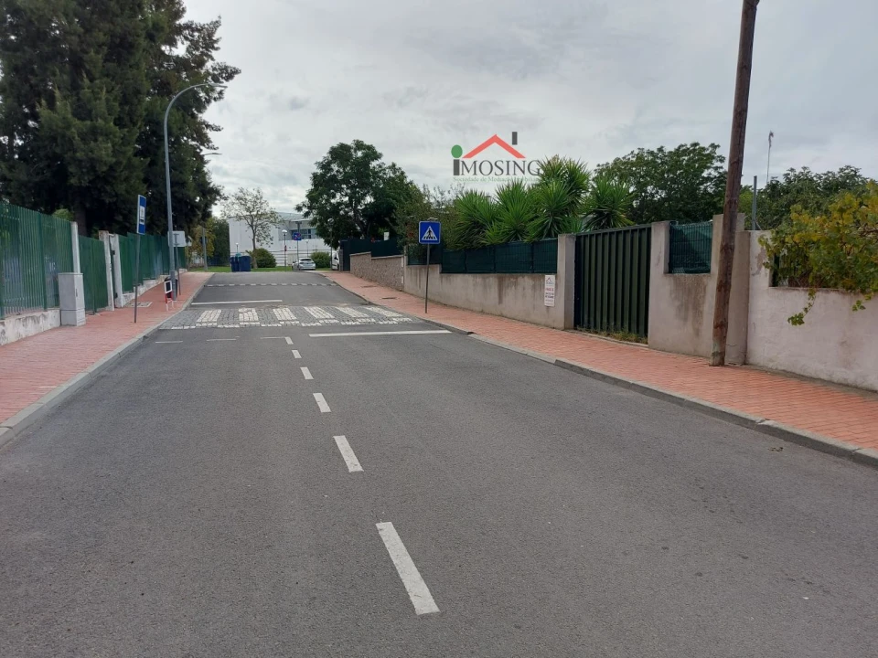 Terreno para Venda em Ferreira do Alentejo e Canhestros Foto 2
