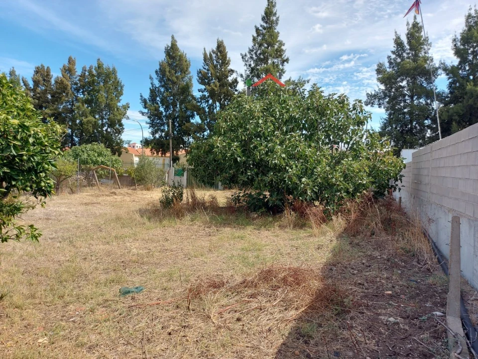 Terreno para Venda em Ferreira do Alentejo e Canhestros Foto 3