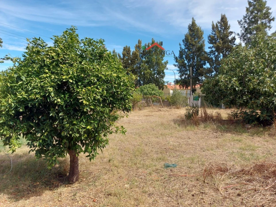 Terreno para Venda em Ferreira do Alentejo e Canhestros Foto 4