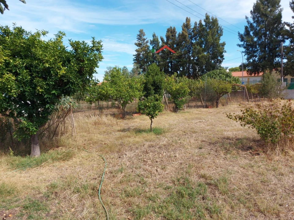 Terreno para Venda em Ferreira do Alentejo e Canhestros Foto 6