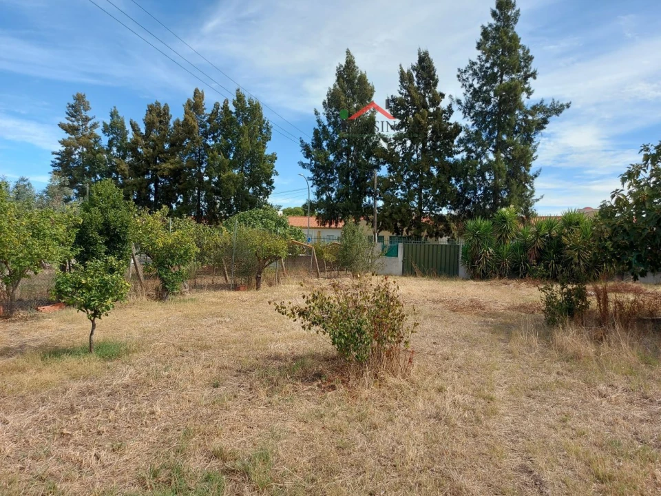 Terreno para Venda em Ferreira do Alentejo e Canhestros Foto 7