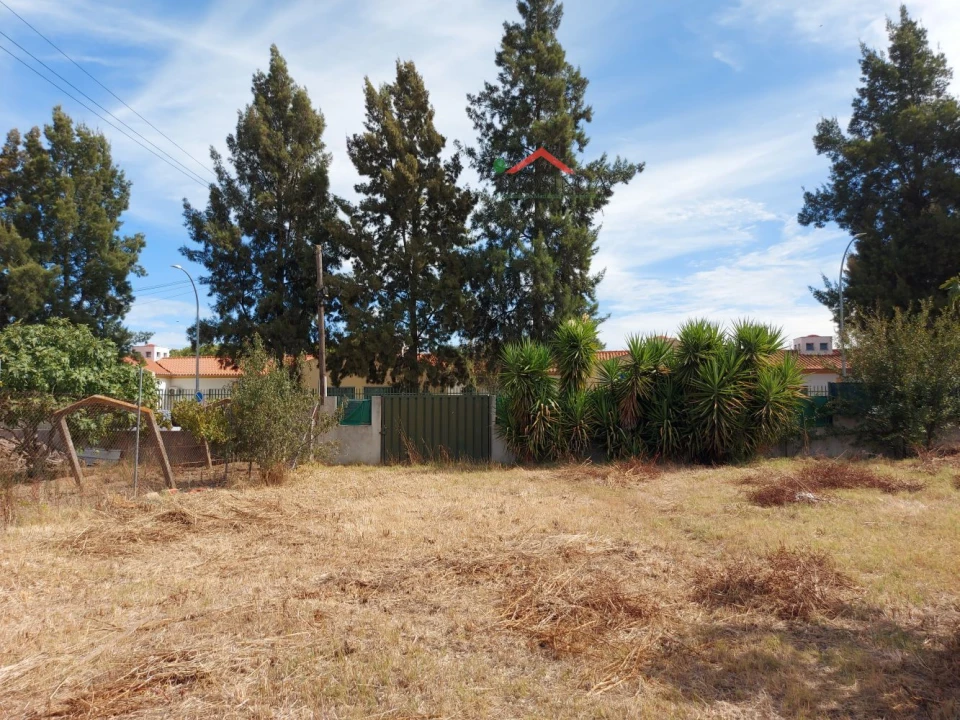 Terreno para Venda em Ferreira do Alentejo e Canhestros Foto 9