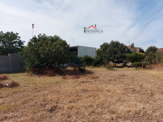 Terreno para Venda em Ferreira do Alentejo e Canhestros Foto 13