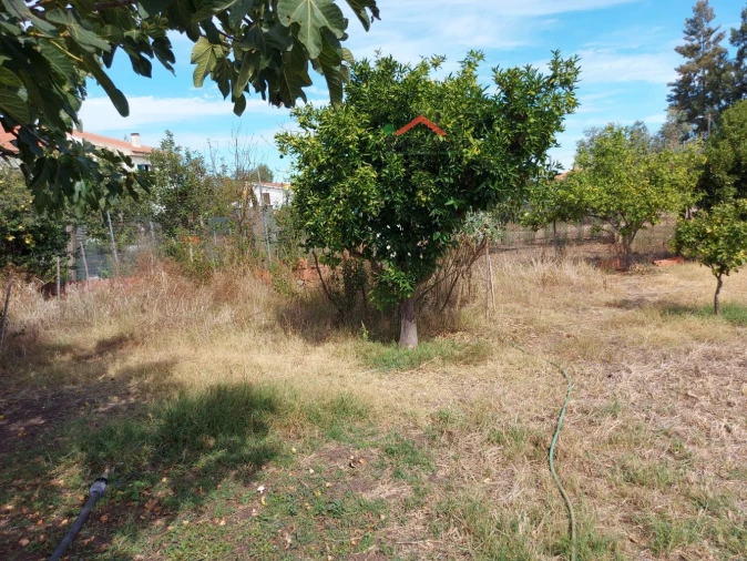 Terreno para Venda em Ferreira do Alentejo e Canhestros Foto 5