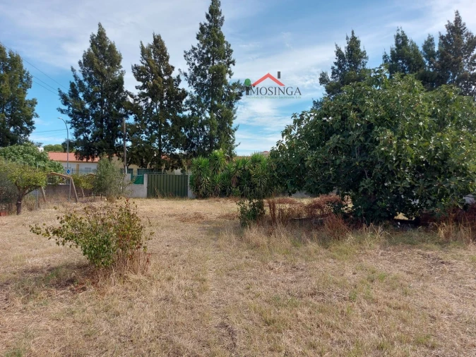 Terreno para Venda em Ferreira do Alentejo e Canhestros Foto 8