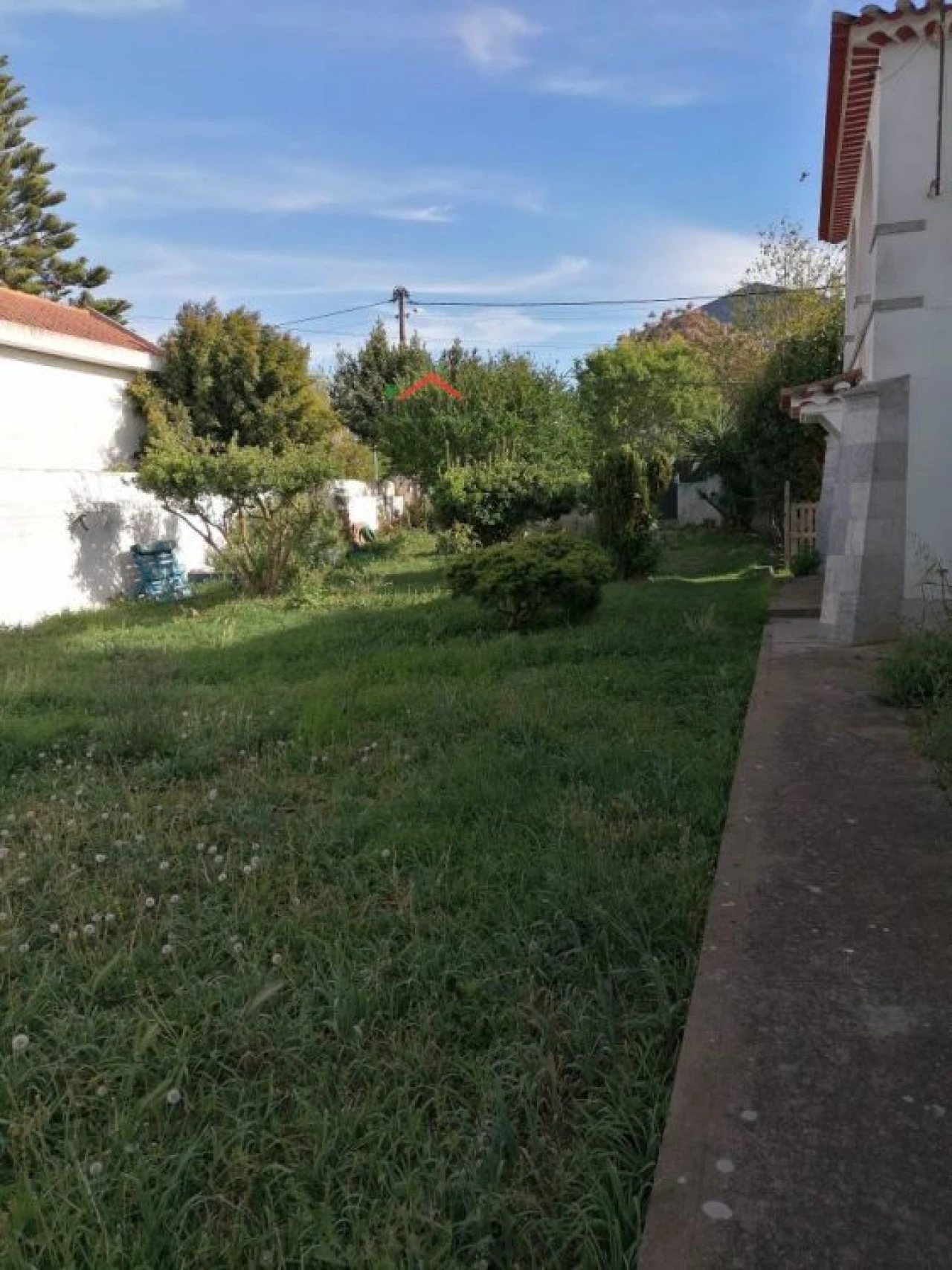 Apartamento T4 para Venda em Ferreira do Alentejo e Canhestros Foto 7