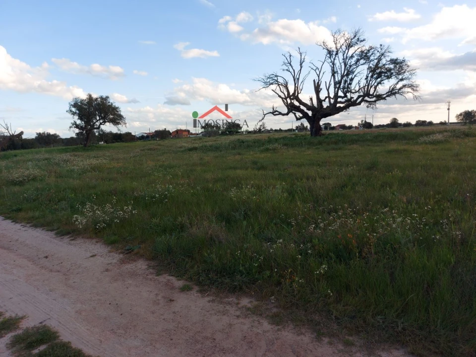 Moradia para Venda em Ferreira do Alentejo e Canhestros Foto 14