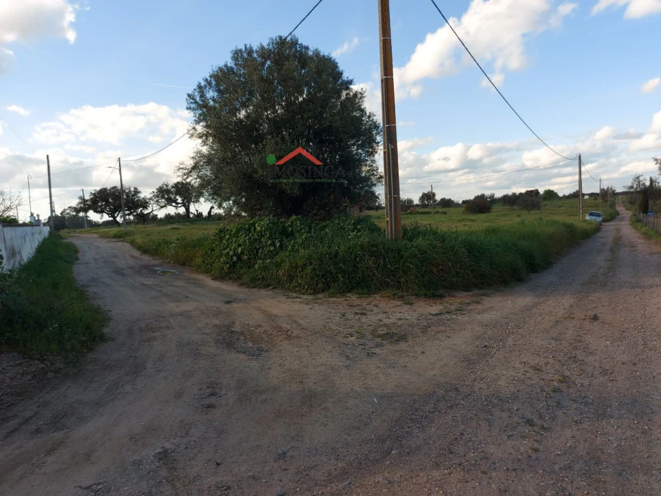 Moradia para Venda em Ferreira do Alentejo e Canhestros Foto 3