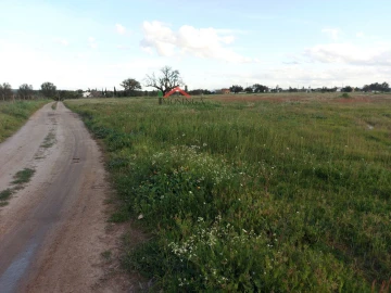 Moradia para Venda em Ferreira do Alentejo e Canhestros