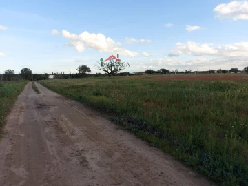 Moradia para Venda em Ferreira do Alentejo e Canhestros