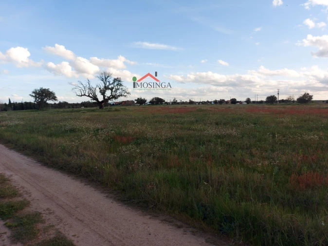 Moradia para Venda em Ferreira do Alentejo e Canhestros Foto 10