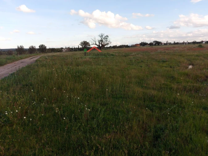 Moradia para Venda em Ferreira do Alentejo e Canhestros Foto 12