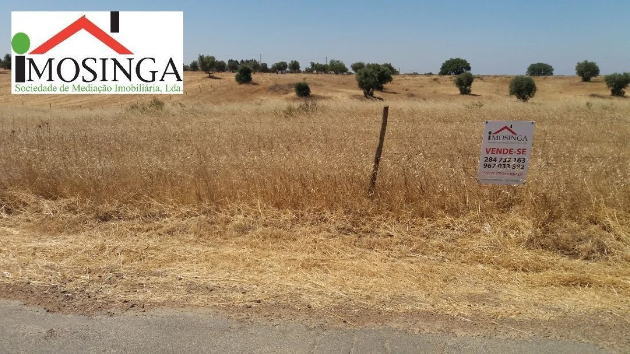 Terreno Agricola ou Rústico para Venda em Ferreira do Alentejo e Canhestros Foto 10
