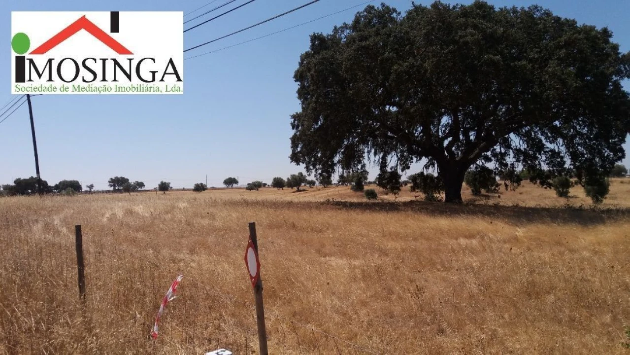 Terreno Agricola ou Rústico para Venda em Ferreira do Alentejo e Canhestros Foto 12