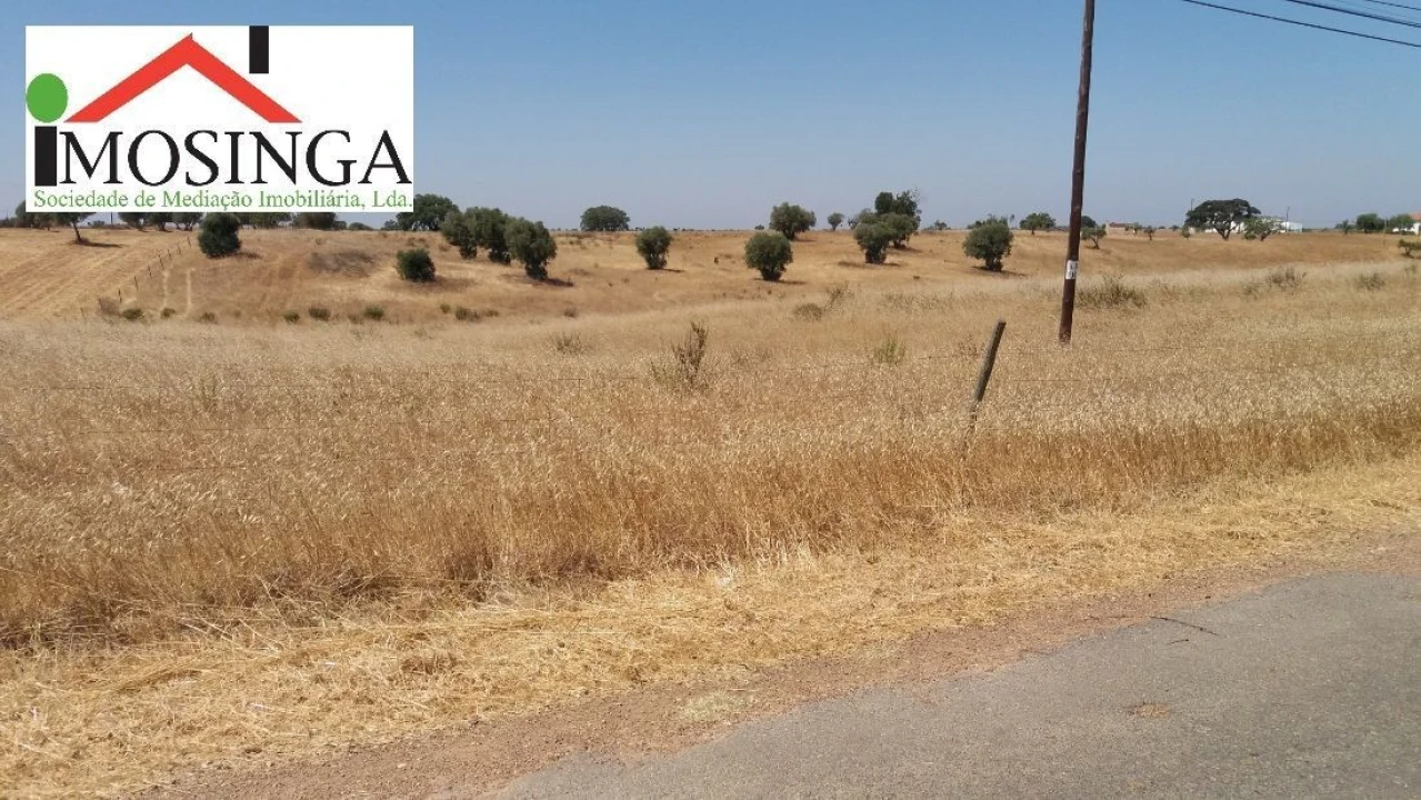 Terreno Agricola ou Rústico para Venda em Ferreira do Alentejo e Canhestros Foto 13