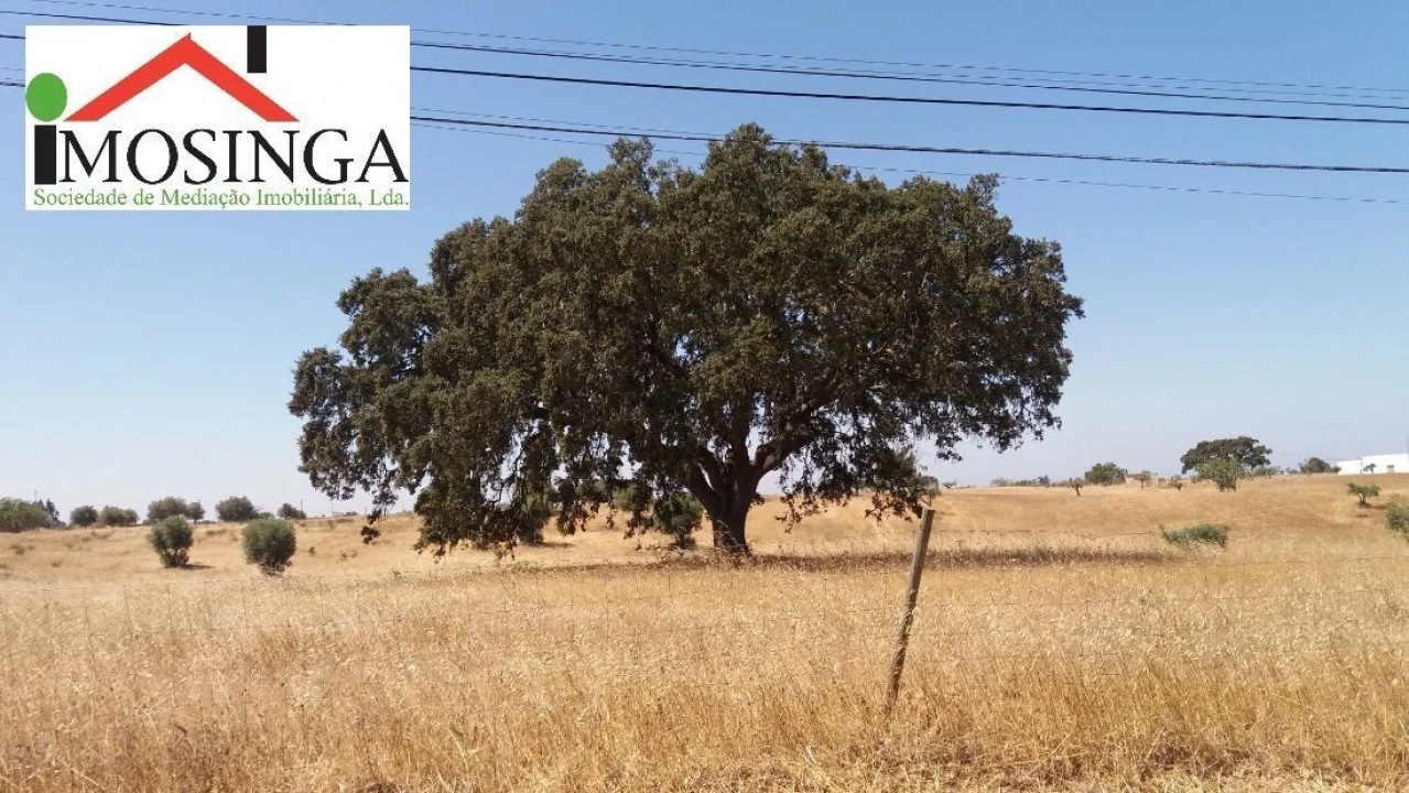 Terreno Agricola ou Rústico para Venda em Ferreira do Alentejo e Canhestros Foto 14