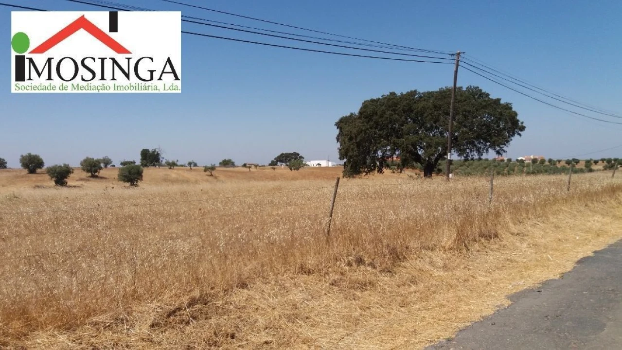 Terreno Agricola ou Rústico para Venda em Ferreira do Alentejo e Canhestros Foto 16