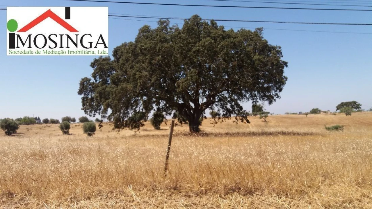 Terreno Agricola ou Rústico para Venda em Ferreira do Alentejo e Canhestros Foto 18