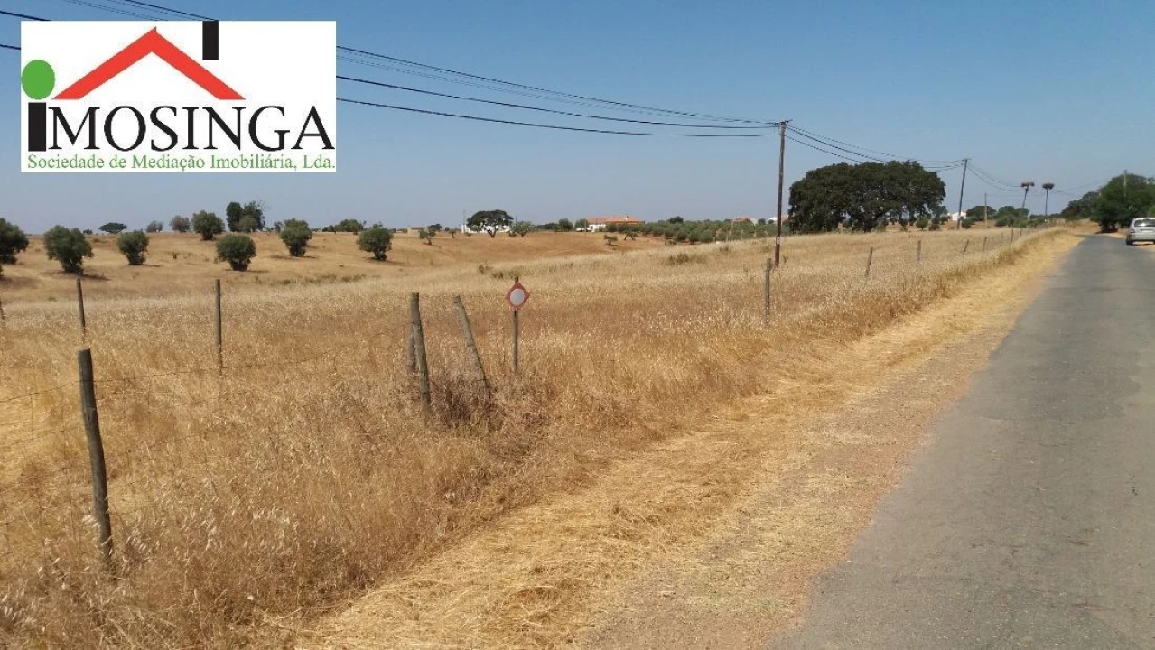 Terreno Agricola ou Rústico para Venda em Ferreira do Alentejo e Canhestros Foto 5