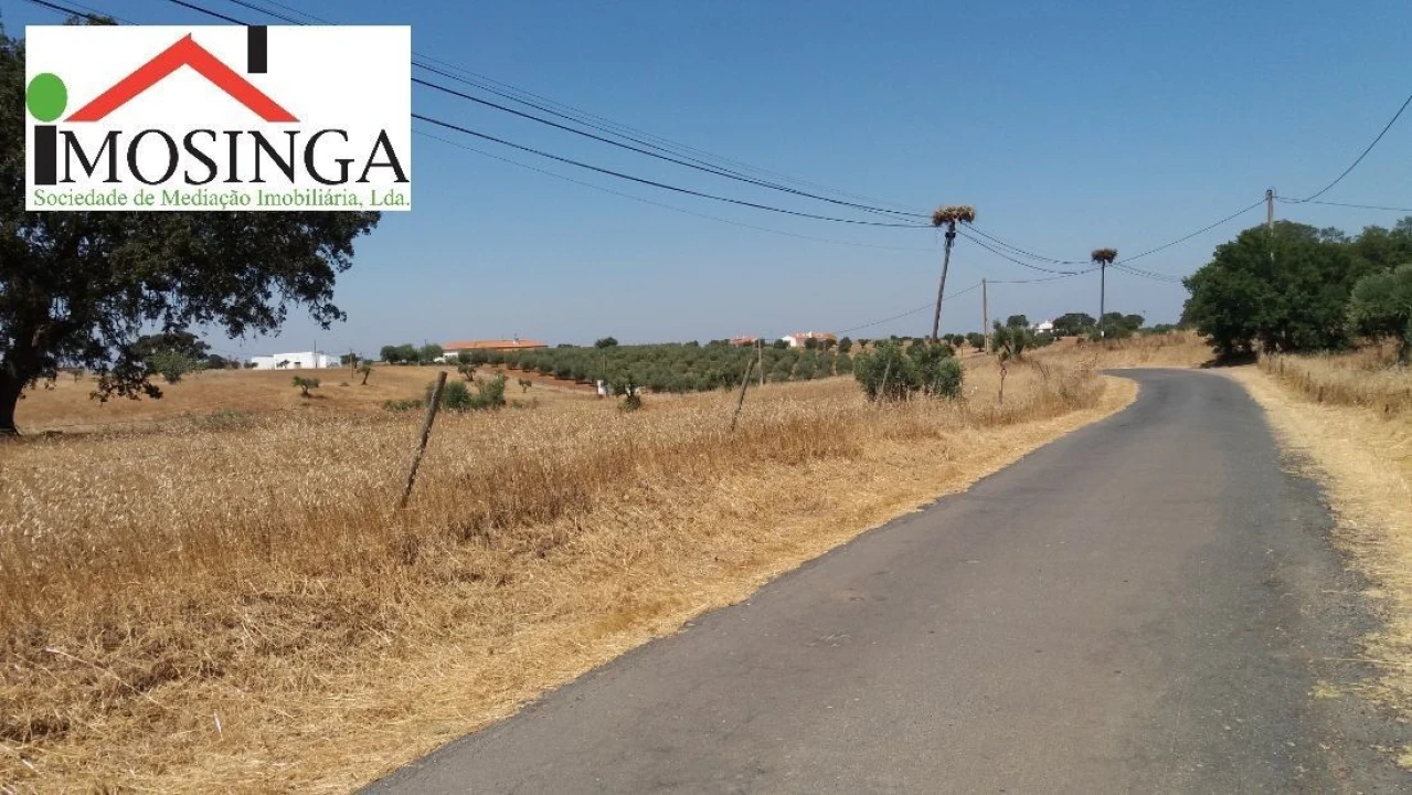 Terreno Agricola ou Rústico para Venda em Ferreira do Alentejo e Canhestros Foto 8