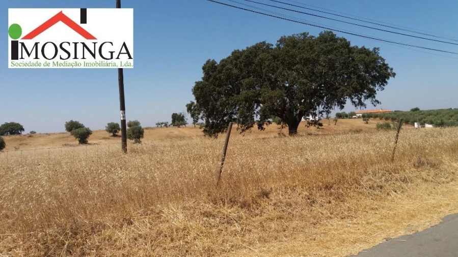 Terreno Agricola ou Rústico para Venda em Ferreira do Alentejo e Canhestros Foto 11