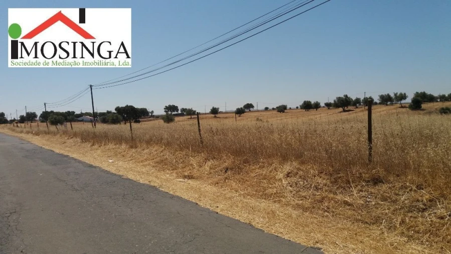Terreno Agricola ou Rústico para Venda em Ferreira do Alentejo e Canhestros Foto 15