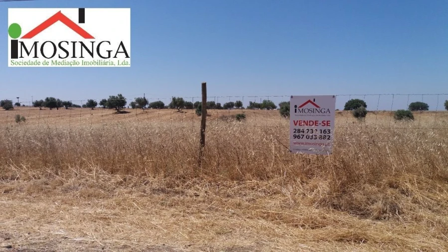 Terreno Agricola ou Rústico para Venda em Ferreira do Alentejo e Canhestros Foto 17