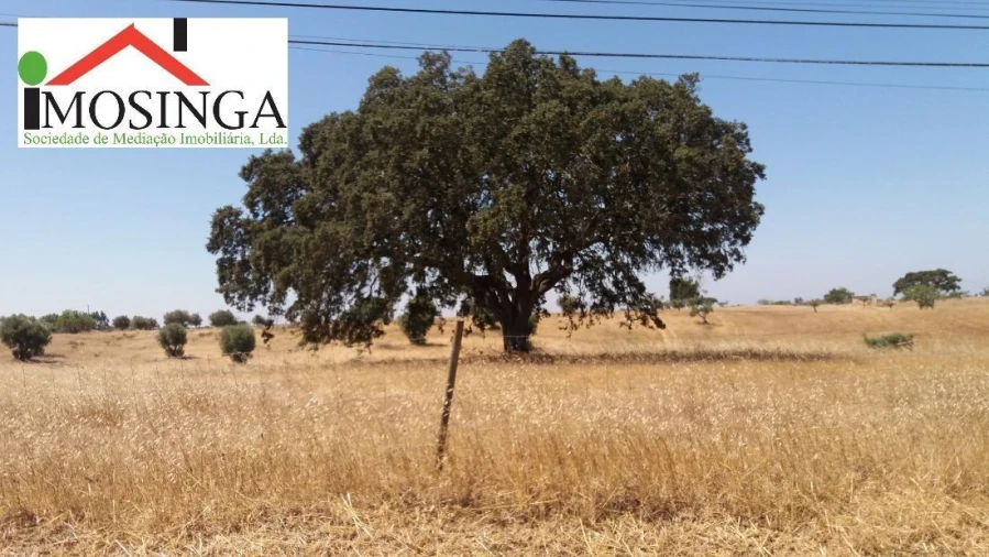 Terreno Agricola ou Rústico para Venda em Ferreira do Alentejo e Canhestros Foto 18