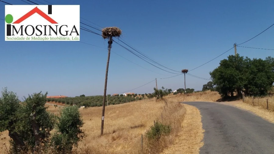 Terreno Agricola ou Rústico para Venda em Ferreira do Alentejo e Canhestros Foto 2