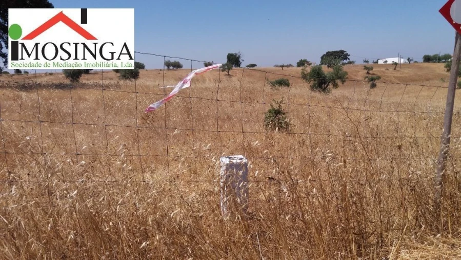 Terreno Agricola ou Rústico para Venda em Ferreira do Alentejo e Canhestros Foto 3
