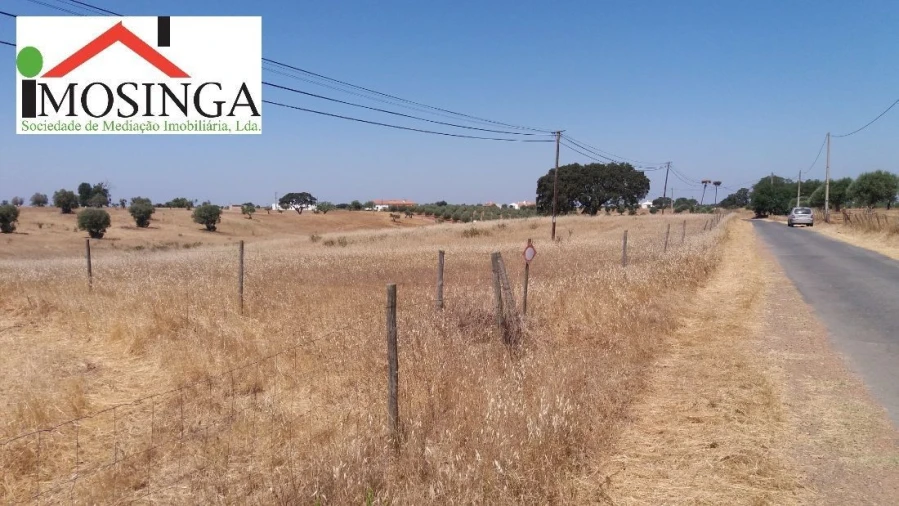 Terreno Agricola ou Rústico para Venda em Ferreira do Alentejo e Canhestros Foto 4