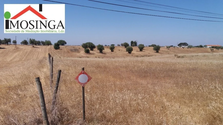 Terreno Agricola ou Rústico para Venda em Ferreira do Alentejo e Canhestros Foto 7