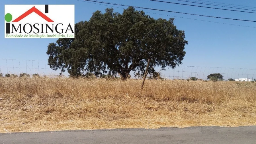 Terreno Agricola ou Rústico para Venda em Ferreira do Alentejo e Canhestros Foto 9