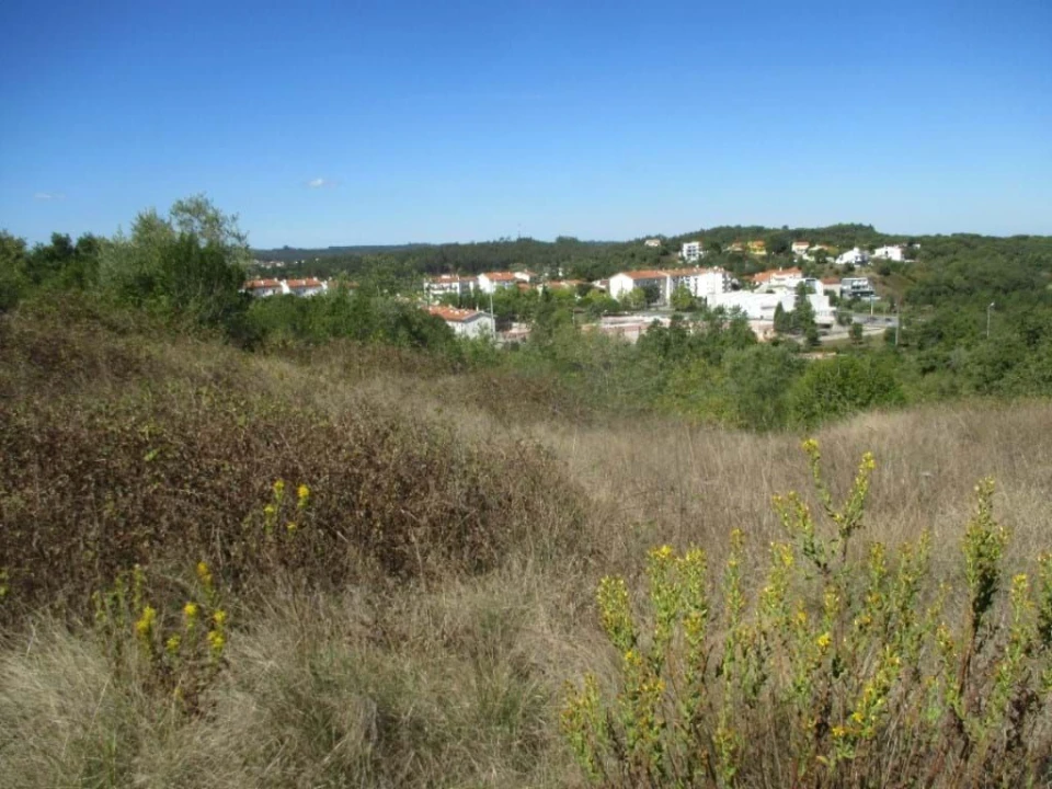 Terreno Agricola ou Rústico para Venda em Soure Foto 2