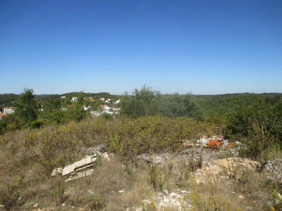 Terreno Agricola ou Rústico para Venda em Soure Foto 3