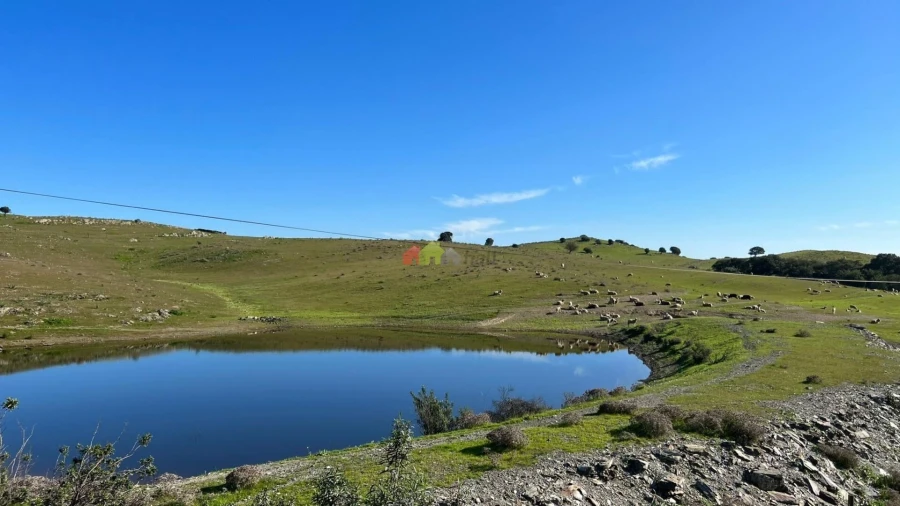 Quinta T5 para Venda em São Miguel do Pinheiro, São Pedro de Solis, São Sebastião dos Carros Foto 3