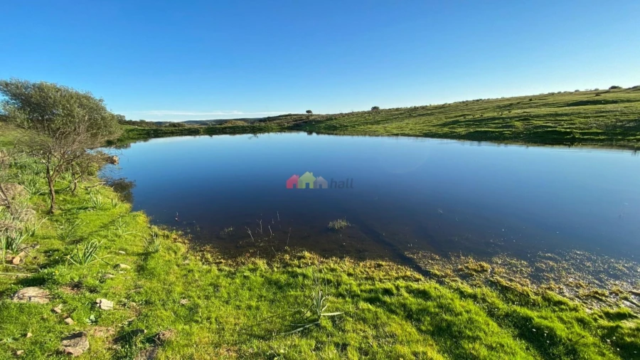 Quinta T5 para Venda em São Miguel do Pinheiro, São Pedro de Solis, São Sebastião dos Carros Foto 7