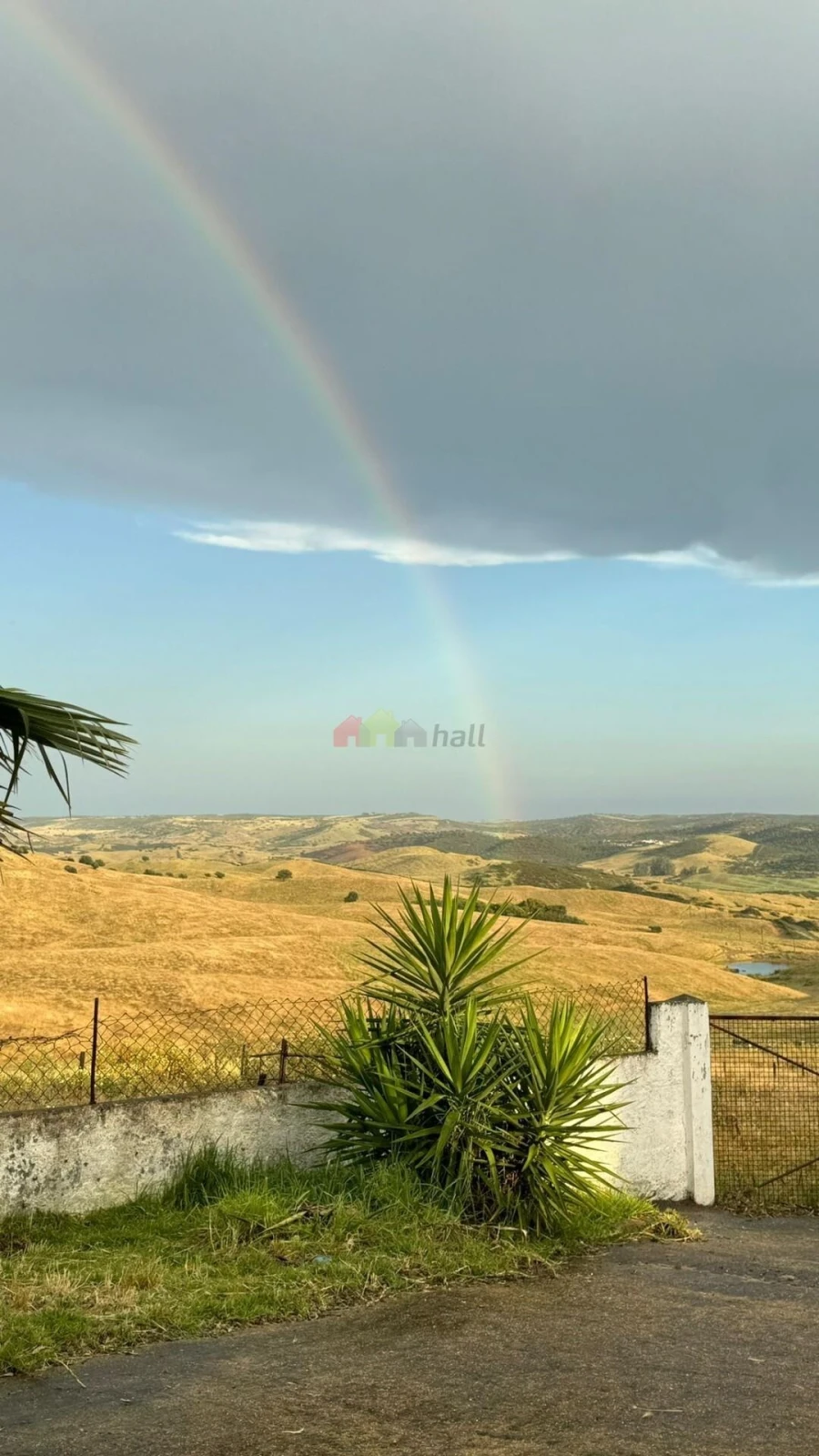 Quinta T5 para Venda em São Miguel do Pinheiro, São Pedro de Solis, São Sebastião dos Carros Foto 12