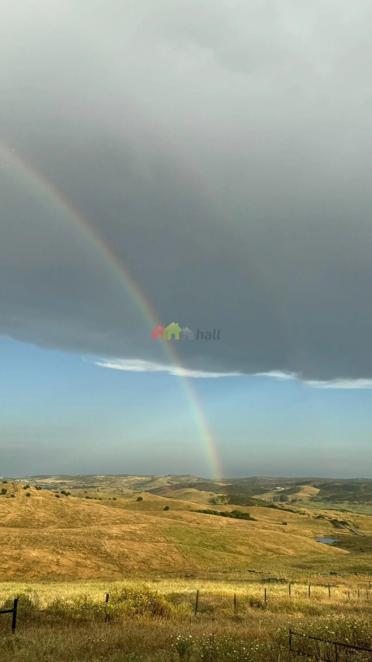 Quinta T5 para Venda em São Miguel do Pinheiro, São Pedro de Solis, São Sebastião dos Carros Foto 5