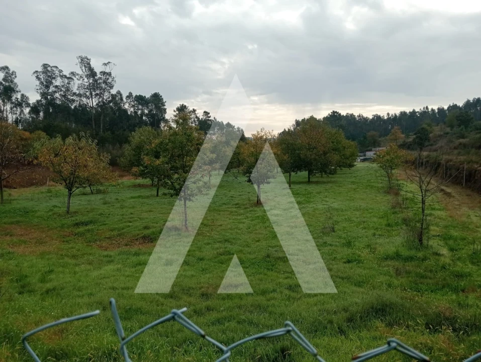 Terreno para Venda em Associação de Freguesias do Vale do Neiva Foto 4