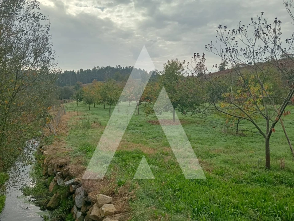 Terreno para Venda em Associação de Freguesias do Vale do Neiva Foto 5