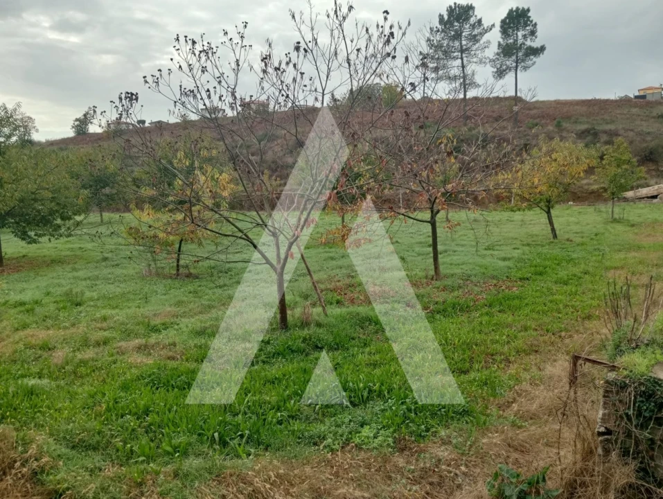 Terreno para Venda em Associação de Freguesias do Vale do Neiva Foto 1