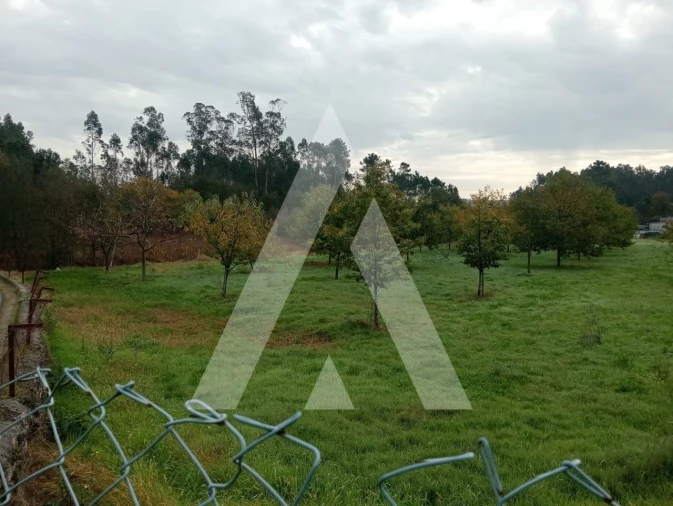 Terreno para Venda em Associação de Freguesias do Vale do Neiva Foto 7