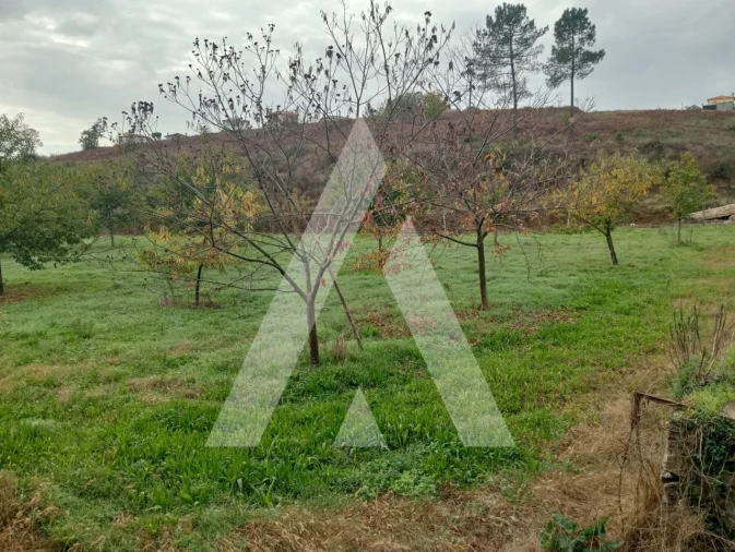 Terreno para Venda em Associação de Freguesias do Vale do Neiva Foto 1