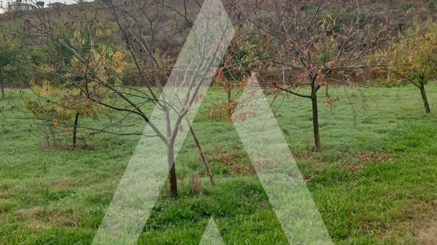 Terreno para Venda em Associação de Freguesias do Vale do Neiva