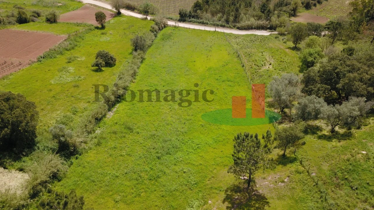 Terreno para Venda em Alvorninha Foto 26