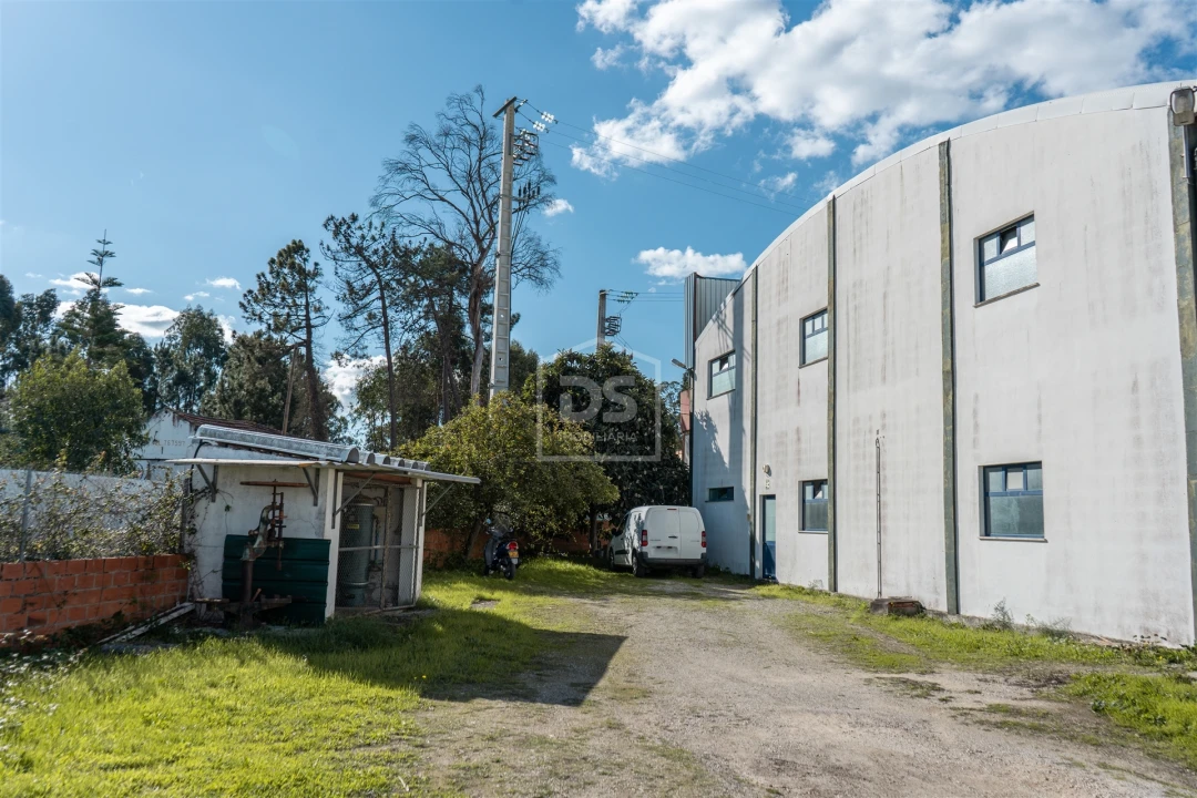 Negócio para Venda em Batalha Foto 29